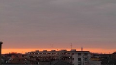 【お題日記】冷めても嬉しいおかず