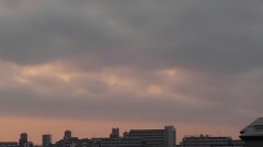 【お題日記】あなたを動物に例えるなら？