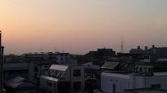 【お題日記】好きな芸能人の熱愛報道、どう反応する？