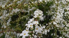 【お題日記】自分は打たれ強い方だと思う？