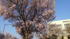 【お題日記】大人になって食べられるようになった物