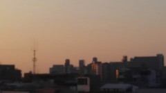 【お題日記】あなたは色白？色黒？