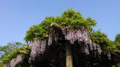 【お題日記】貸したまま返ってこなかったものある？