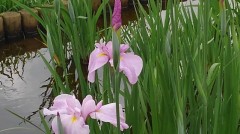 【お題日記】最近加熱しすぎじゃない？と思うこと