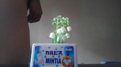 【お題日記】財布落としたことある？