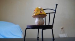 【お題日記】1番好きな曜日は？