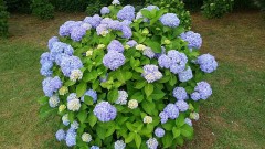 【お題日記】疲れた時の対処法は？