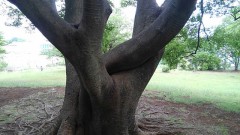 【お題日記】ラブホでの珍エピソード