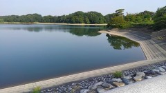 【お題日記】いつも持ち歩くもの