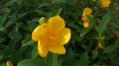 【お題日記】よりを戻す方法はある？