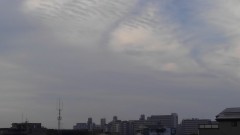 【お題日記】山と海、どちらが好き？