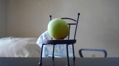 【お題日記】今日は虫の日！好きな虫、嫌いな虫