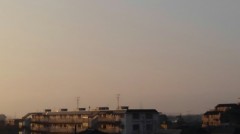 【お題日記】暑くなると食べたくなるもの