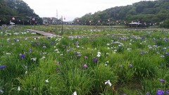 【お題日記】カフェや飲食店での長居、どう思う？