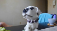 【お題日記】映画館でパンフレット買ってる？