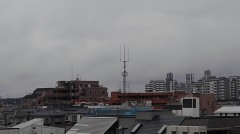 【お題日記】広告・CMってちゃんと見てる？