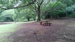 【お題日記】エッチしたい時の合図ってどんなの？