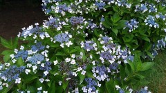 【お題日記】雨の日のおすすめデートプラン