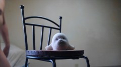 【お題日記】この音楽が好きだなぁ