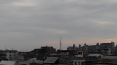 【お題日記】ついて良い嘘・悪い嘘