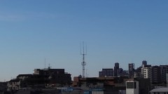 【お題日記】好感度高いアピール方法