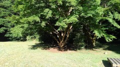 【お題日記】萎えたときの対策