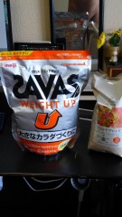 【お題日記】風俗は浮気だと思う？