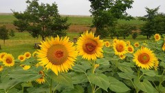 【お題日記】もし時間がとめられたら何したい？