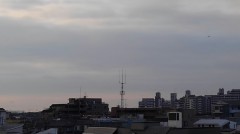 【お題日記】何かと使うクーポン