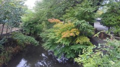 【お題日記】ひとり旅したことある？