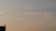 【お題日記】自由ってなんだ！？