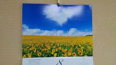 【お題日記】あなたのテーマカラーは？