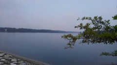 【お題日記】アイス派？シャーベット派？