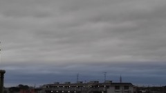 【お題日記】スポーツは何が好き？