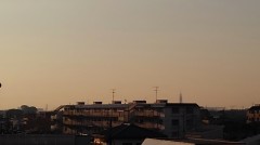 【お題日記】郵便物捨てる前に個人情報部分処理してる？