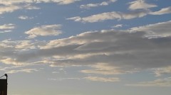 【お題日記】子供の頃の残念エピソード