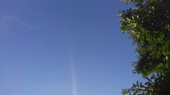 【お題日記】遺伝だなぁと思うとき