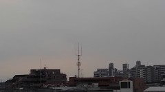 【お題日記】小学生の時、なに係（委員）だった？