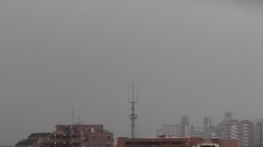 【お題日記】ランチはどこで食べるのが多い？