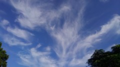 【お題日記】秋のお出かけ計画は？