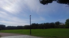 【お題日記】性欲って季節と関係がある！？