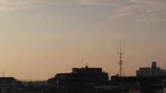 【お題日記】好きな野菜のメニュー