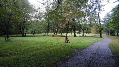 【お題日記】自分の名前、変えるとしたら何にしたい？