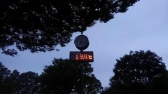 【お題日記】お相手の家族とは仲良くなれるほう？