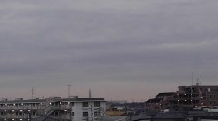 【お題日記】私が大切にしている言葉