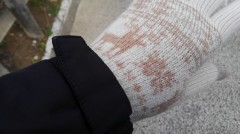 【お題日記】カタいのがいい？やわらかいのがいい？