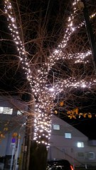 【お題日記】わたしの残念エピソード