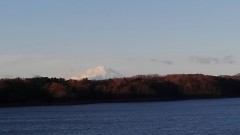 【お題日記】人はなぜ恋をするの？