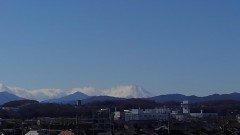 【お題日記】初売りセール行った？