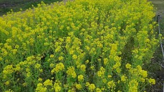 【お題日記】初対面の人のココに目が行く